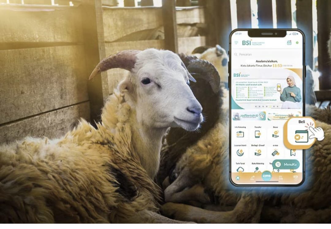 Layani Kurban Online, BSI Maslahat Siap Distribusikan Daging untuk Umat