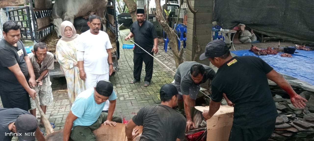 Qurban 3 Ekor Sapi, Rahudman Harahap Berpesan di Idul Adha 1444 H Mari Mempertebal Iman dan Tagwa