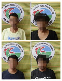 Polres Samosir Amankan 12 Orang Diduga Pesta Narkoba