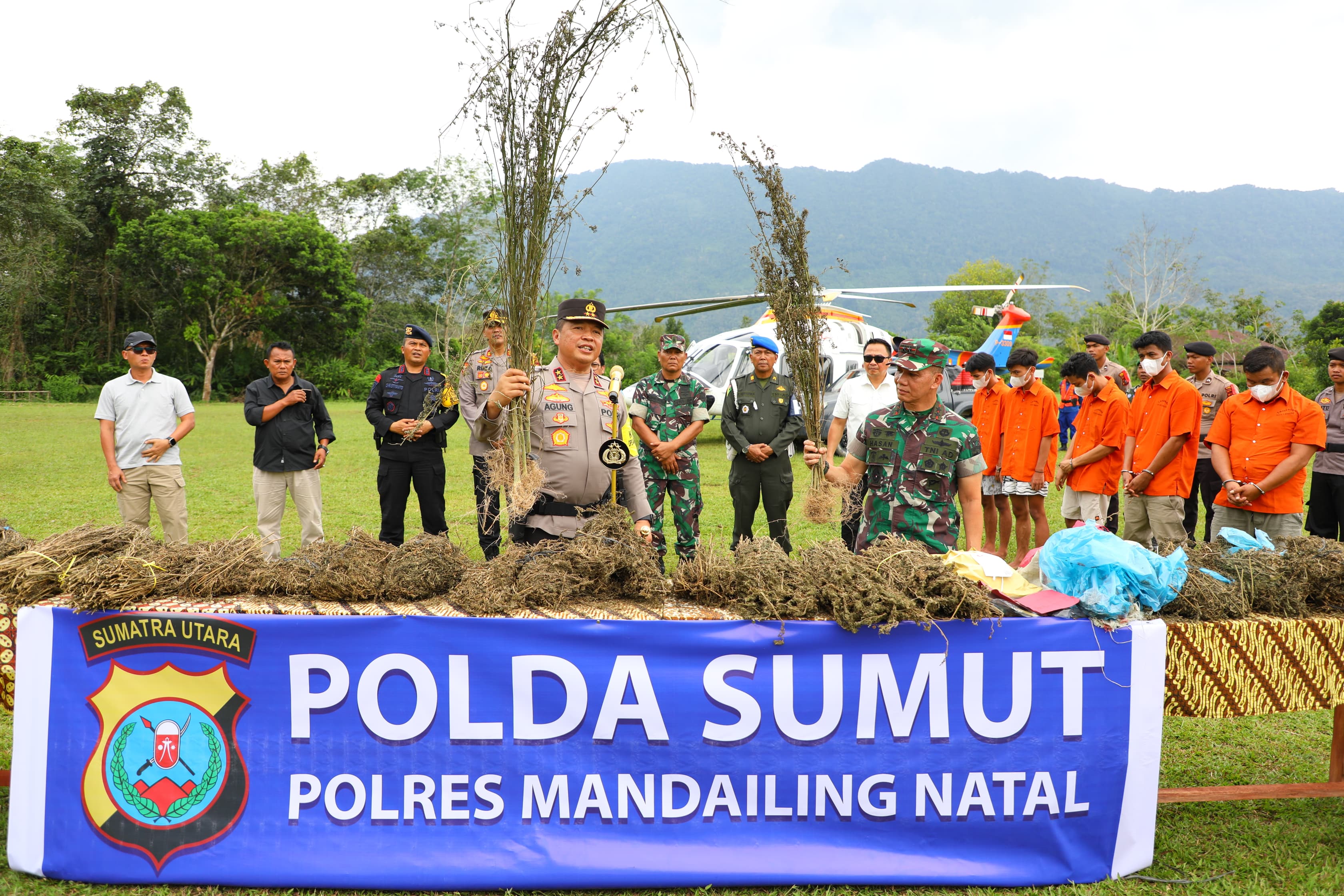 Pangdam I/BB dan Kapoldasu Musnahkan Ladang Ganja 150 Ha di Madina