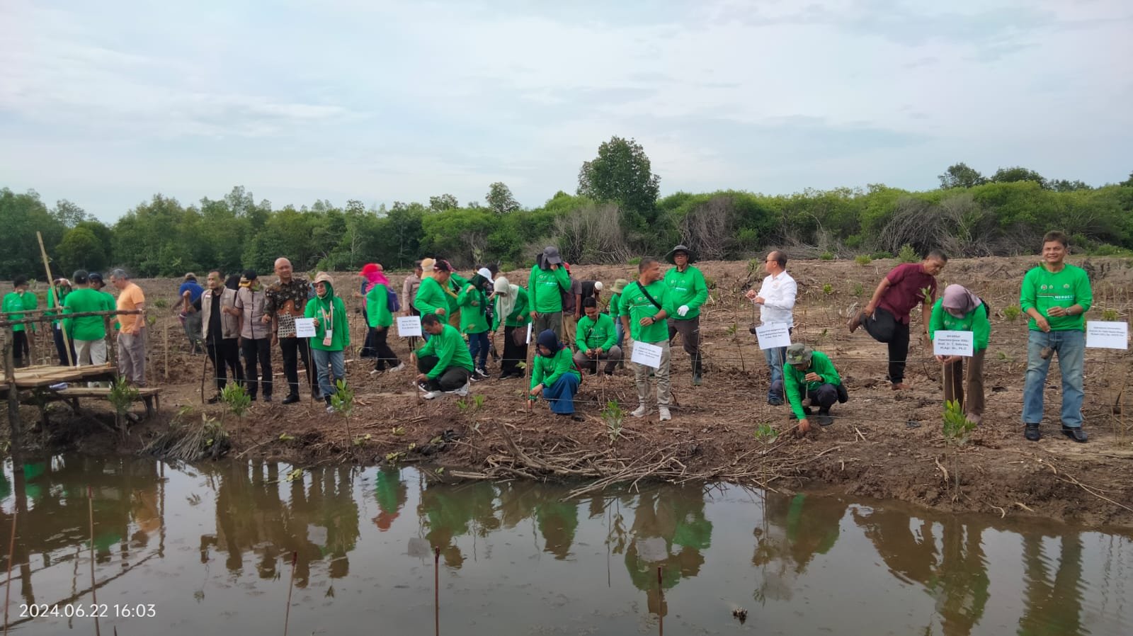 USU Tanam 2000 Bibit Bakau di Wilayah Mangrove Langkat