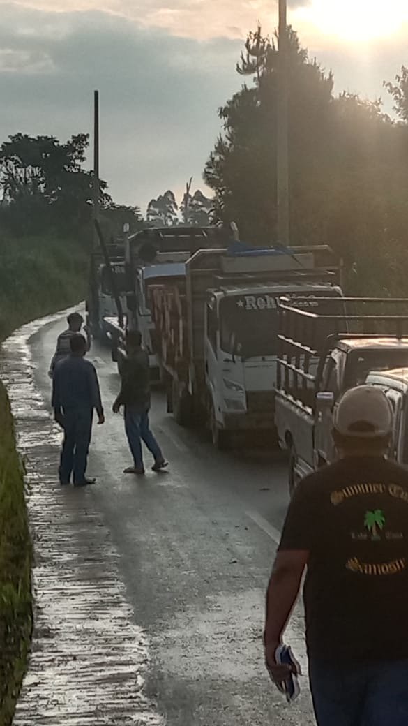 Puluhan Warga Hentikan 4 Unit Truk Pengangkut Kayu Ilegal di Siosar