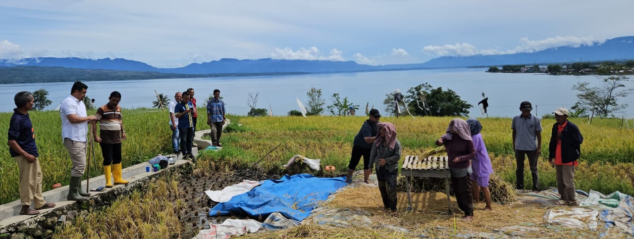 Petani di Balige Curhat Sama Bobby Nasution, Soal Pupuk Hingga Infrastruktur