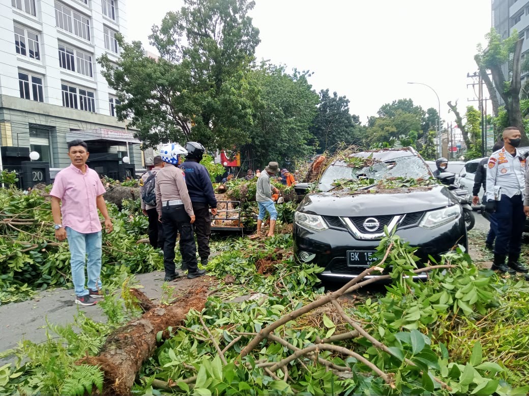 Pohon Mahoni Tumbang Timpa Mobil dan Betor