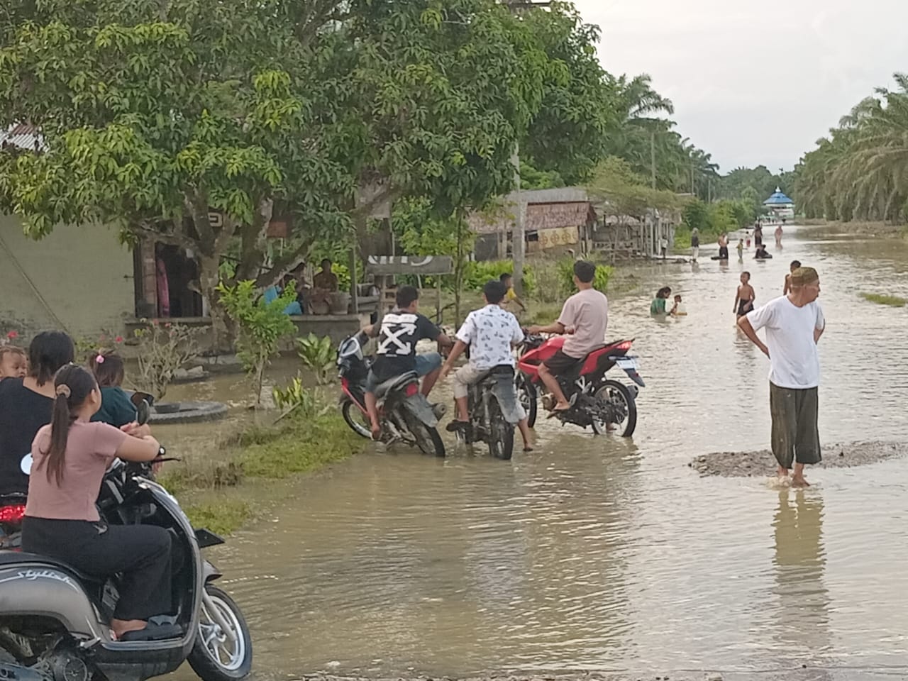 Curah Hujan Tinggi ,Puluhan Rumah Tergenang Banjir