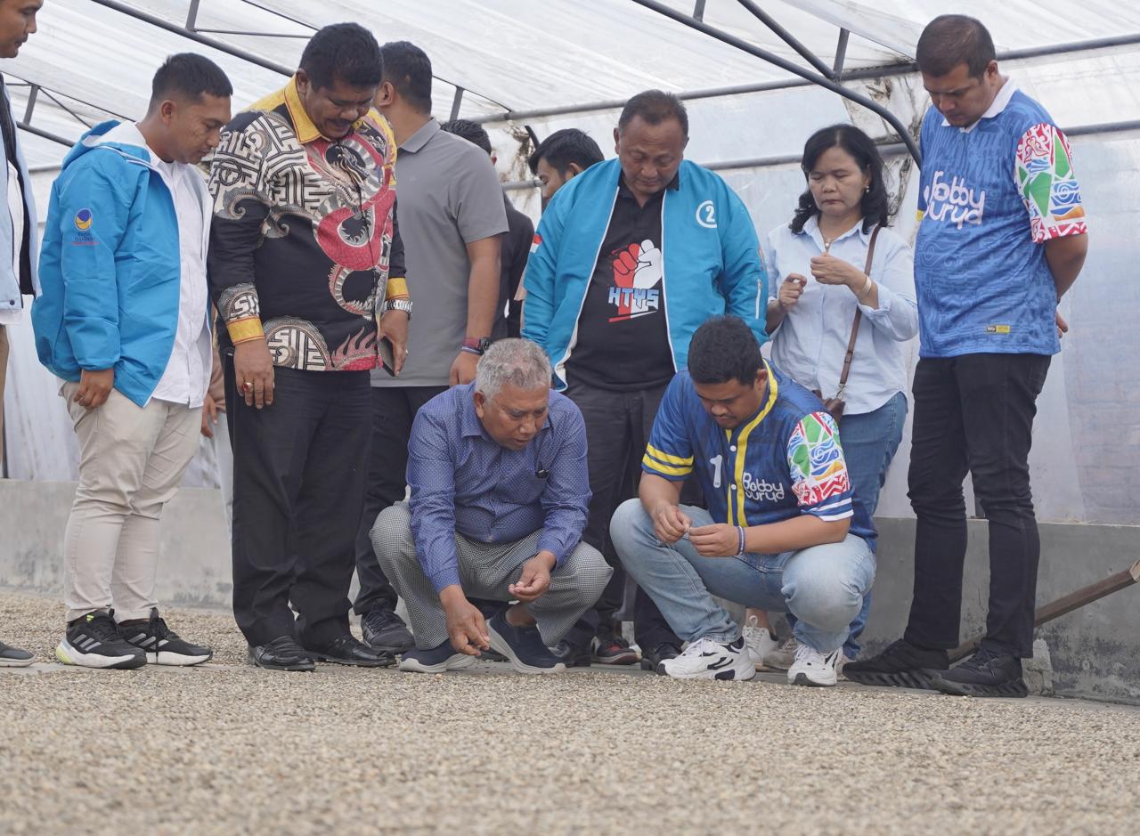 Bobby Nasution Bertemu Petani Kopi Lintong di Humbahas: Kami Yakin Pak Bobby Jadi Gubernur