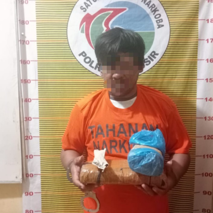 Polres Samosir Tangkap Terduga Pengedar Narkotika Jenis Ganja di Desa Cinta Dame
