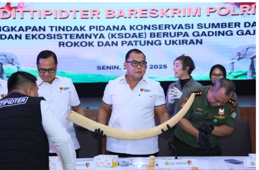 Polri Ungkap Penjualan Gading Gajah hingga Patung Ukiran Senilai Rp2,3 Miliar