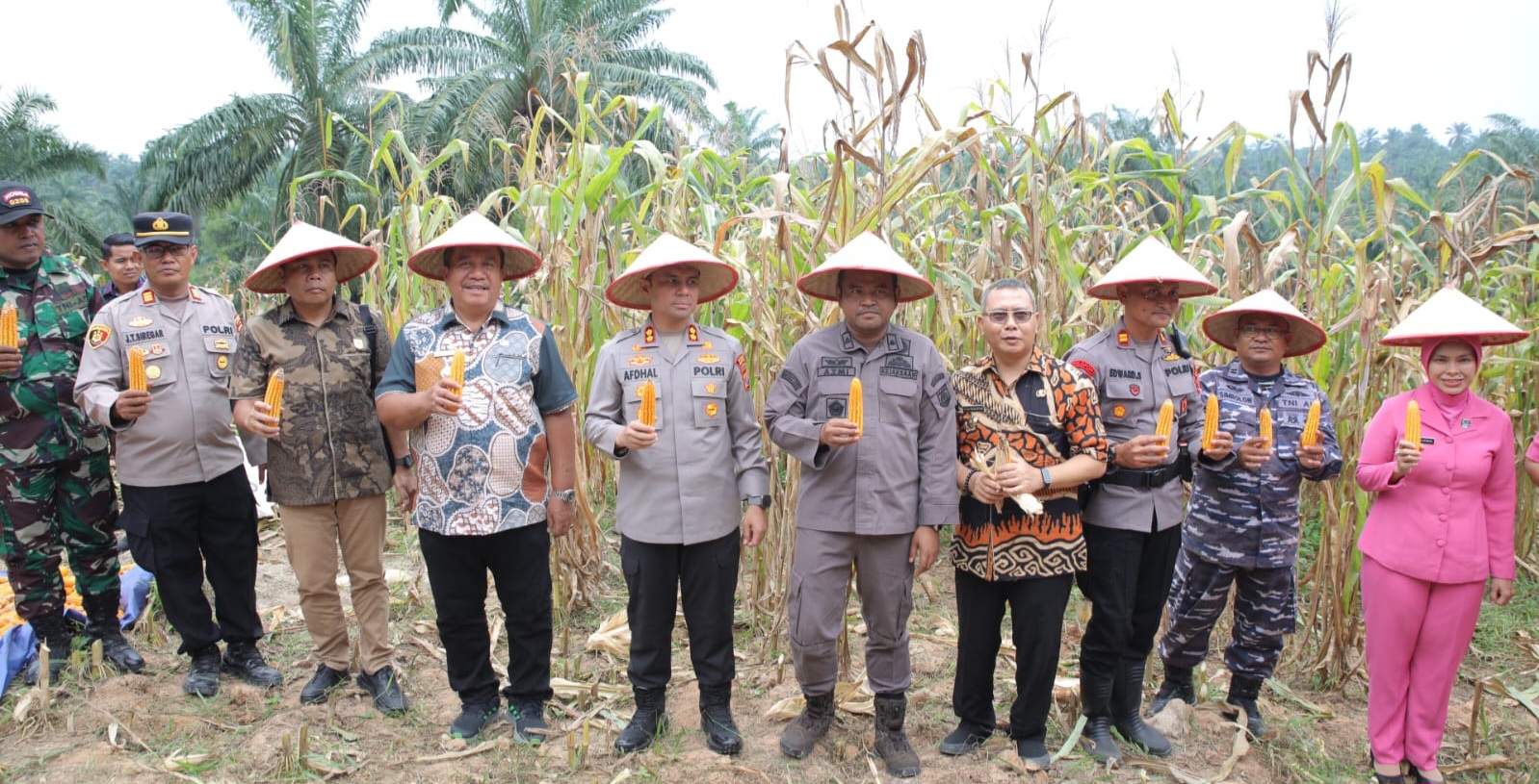 Presiden Pimpin Panen Raya Jagung Serentak