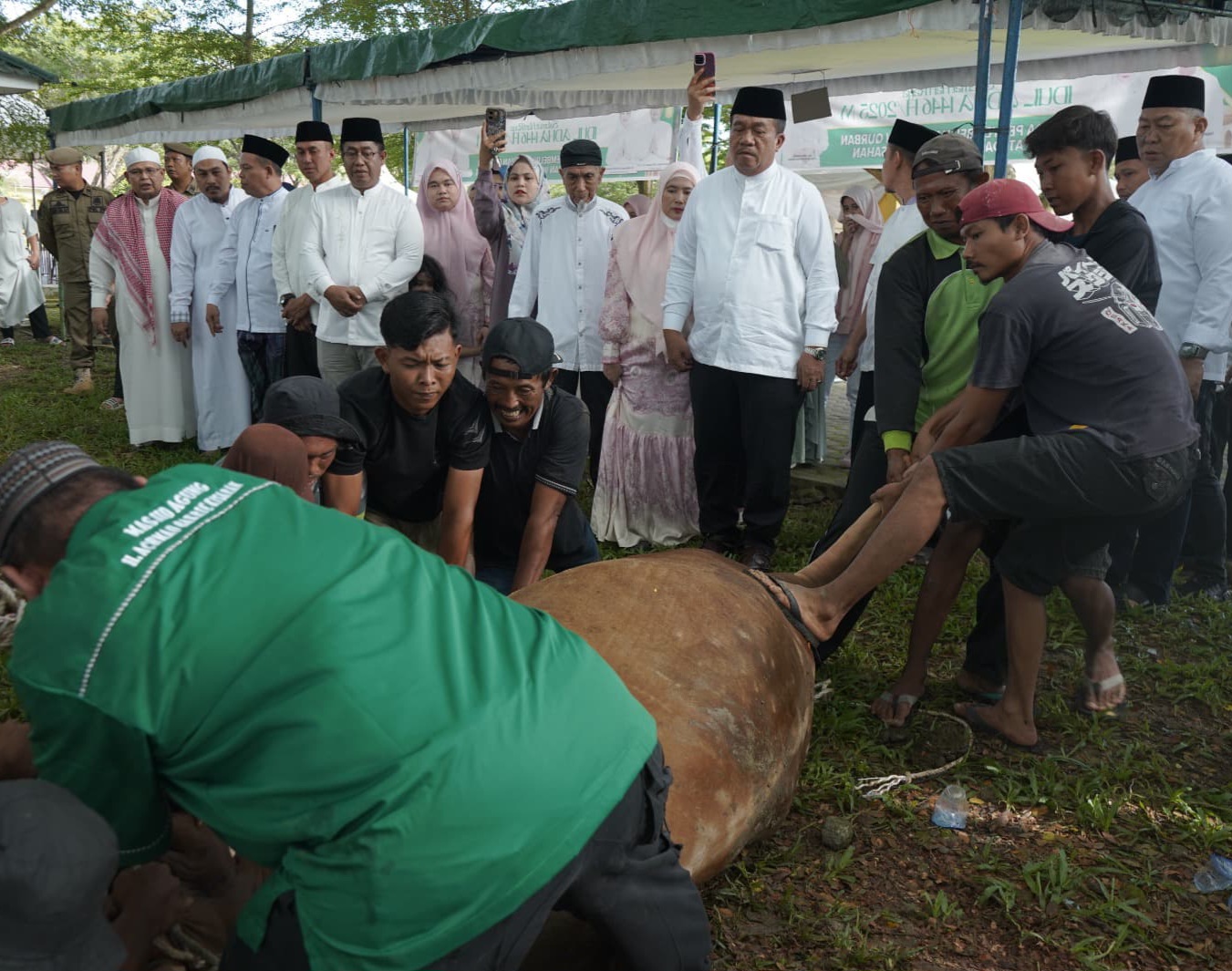 Pemkab Asahan Sembelih 111 Hewan Kurban