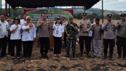 Polsek Tigabinanga Bersama Forkopimcam Tanam Jagung Serentak Kuartal III di Lahan Perhutanan Sosial