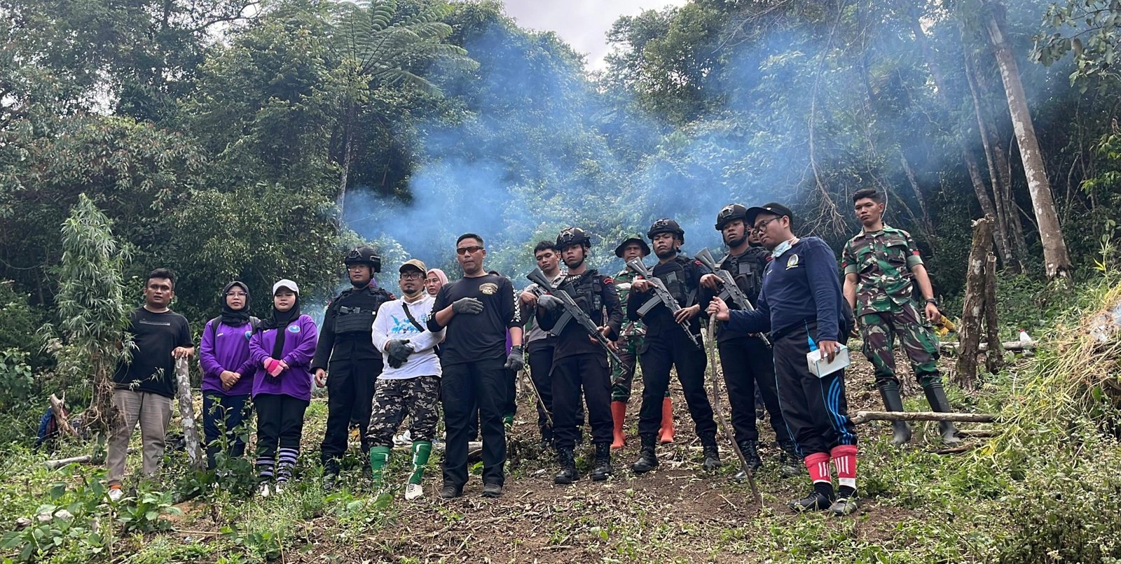 Brimob dan BNNP Sumut Musnahkan 2 Hektar Ladang Ganja di Madina