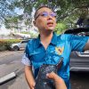 Soal Senpi Kadis PUPR Sumut Nonaktif Ini Kata Perbakin