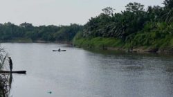 Limbah PKS Cemari Air Sungai Batang Serangan & Besilam, Banyak Ikan Mati