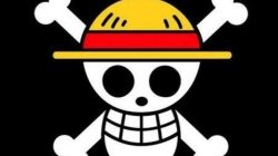 LBH Medan Tegaskan Pengibaran Bendera One Piece Bukanlah Makar