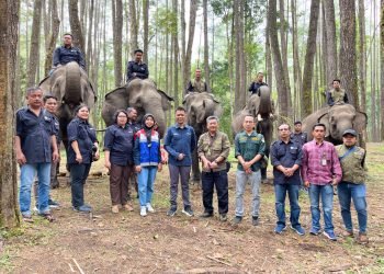 Pertamina Patra Niaga FT Pematang Siantar Dukung Wisata Edukasi Konservasi Gajah di Aek Nauli