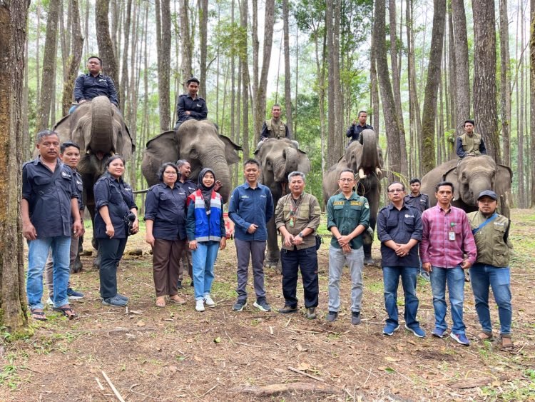 Pertamina Patra Niaga FT Pematang Siantar Dukung Wisata Edukasi Konservasi Gajah di Aek Nauli