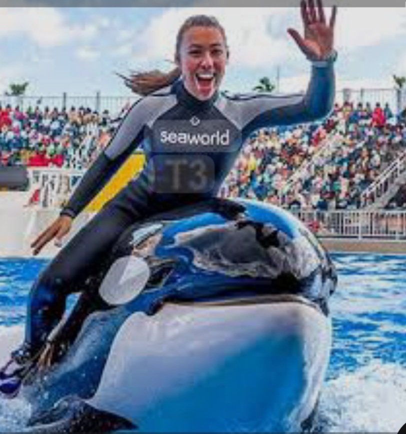 Heboh Video Jessica Radcliffe Dikabarkan Tewas Dimakan Orca, Ini Faktanya