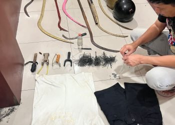 Tim Gabungan Polres Belawan dan Brimob Ringkus Pelaku Tawuran Maut