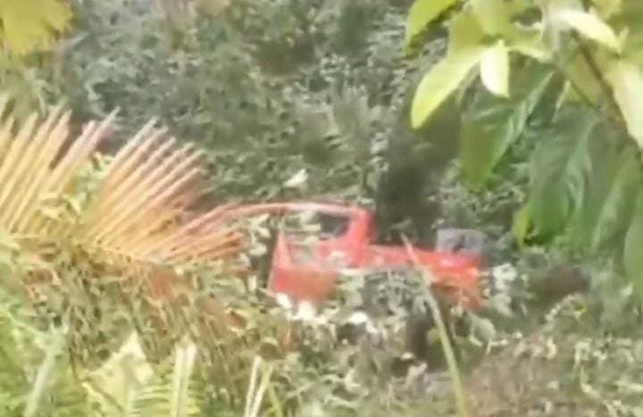 Kembali, Mobil Double Cabin Masuk Jurang di Jalan Menuju Wisata Tangkahan