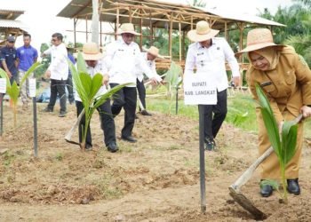 Pemkab Langkat Tanam 360 Ribu Pohon Kelapa