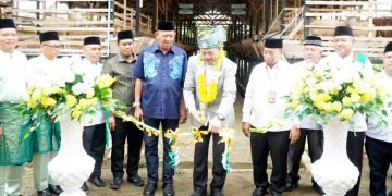 Syah Afandin Targetkan Balai Ternak Baznas Hingga ke Kecamatan Untuk Bangkitkan Ekonomi Masyarakat