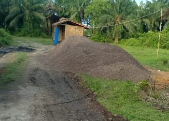 Polsek Gebang Diminta Tindak Tegas Gudang Mafia Inti dan Cangkang Sawit