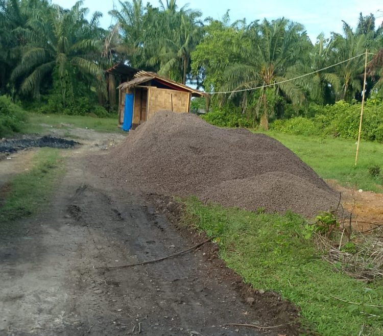 Polsek Gebang Diminta Tindak Tegas Gudang Mafia Inti dan Cangkang Sawit