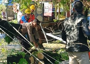 Hujan Disertai Angin Kencang Rubuhkan Pohon, Dua Rumah Rusak