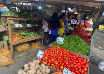 Harga Cabai Merah Melambung Namun Beras Turun, Sejauh Mana Dampak Demonstrasi Ke Pasar?