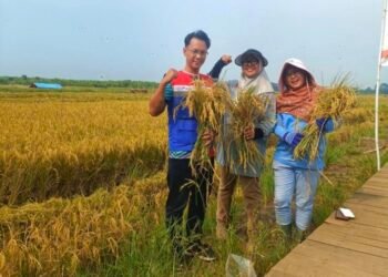 PGN Aktif dalam Pemberdayaan Ekonomi Masyarakat dan Pelestarian Lingkungan