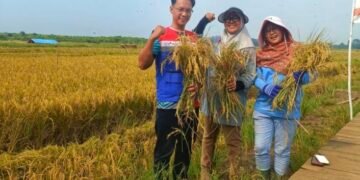 PGN Aktif dalam Pemberdayaan Ekonomi Masyarakat dan Pelestarian Lingkungan