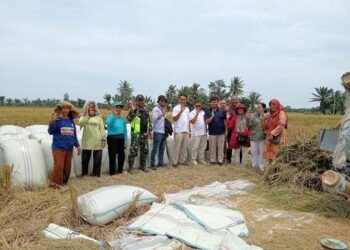 BULOG Sumut Siap Serap Gabah Petani dengan Harga Rp6.500 per Kg
