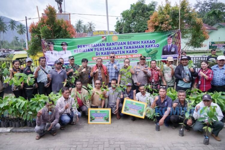 Bupati Karo Serahkan 100 Ribu Batang Benih Kakao kepada Kelompok Tani