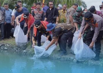 Pemkab Karo Tebar 40 Ribu Benih Ikan Nila di Perairan Lau Mandin, Desa Tanjung Pamah