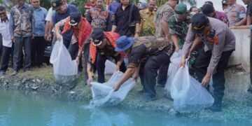 Pemkab Karo Tebar 40 Ribu Benih Ikan Nila di Perairan Lau Mandin, Desa Tanjung Pamah