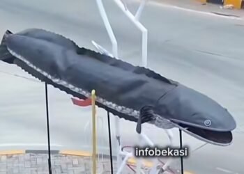 Viral! Tugu Ikan Gabus Ikon Baru Bekasi Bikin Netizen Penasaran dengan Anggaran