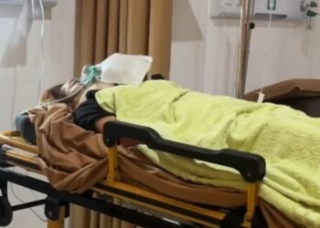 Mabuk dan Ugal-ugalan di Jalan, Oknum Polisi Tabrak Wanita Hingga Kritis