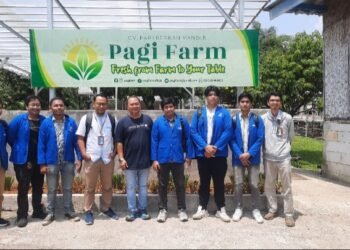 Tanam Harapan di Tengah Beton: UPER Hadirkan Urban Farming yang Ramah Lingkungan