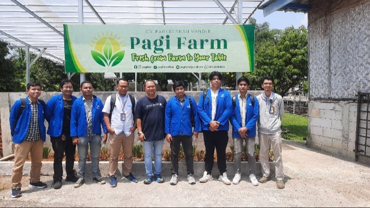 Tanam Harapan di Tengah Beton: UPER Hadirkan Urban Farming yang Ramah Lingkungan