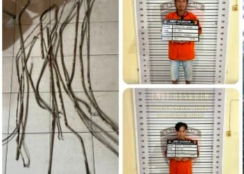 Dua Rayap Besi Ditangkap Polsek Medan Timur di HM Yamin