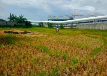 Warga Sibanggor Julu Gugat PT.SMGP Ke PN Madina Rp. 879 Juta