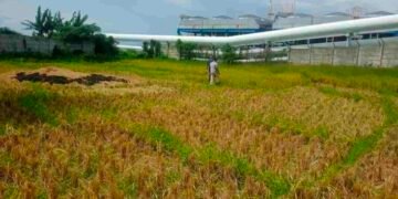 Warga Sibanggor Julu Gugat PT.SMGP Ke PN Madina Rp. 879 Juta