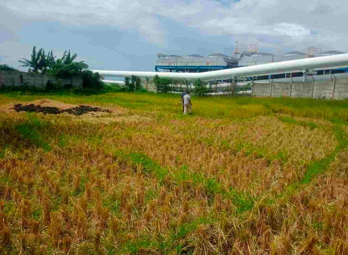 Warga Sibanggor Julu Gugat PT.SMGP Ke PN Madina Rp. 879 Juta