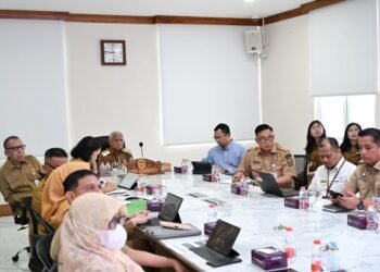 Wagub Sumut Ikuti Rakor Pengendalian Inflasi Bersama Menkeu