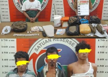 Jaringan Bandar, Pengedar dan Pemakai Ganja  Berhasil Diringkus Tim Opsnal Satresnarkoba Polres Palas