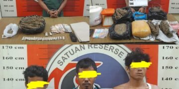 Jaringan Bandar, Pengedar dan Pemakai Ganja Berhasil Diringkus Tim Opsnal Satresnarkoba Polres Palas