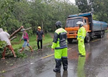 Dampak Hujan Berkelanjutan,Personel Satlantas Polres Sergai Berjibaku Memotong Pohon Tumbang di Jalinsum