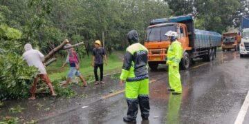 Dampak Hujan Berkelanjutan,Personel Satlantas Polres Sergai Berjibaku Memotong Pohon Tumbang di Jalinsum