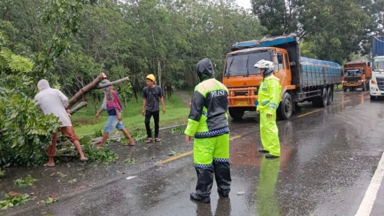 Dampak Hujan Berkelanjutan,Personel Satlantas Polres Sergai Berjibaku Memotong Pohon Tumbang di Jalinsum